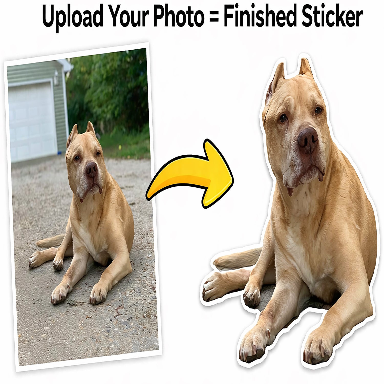 Custom 3” Stickers – Upload Your Design